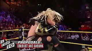 wwe divas lita fuck video aj lee14