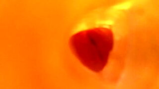 full sex inside vegina with cameras vagina during intercourse