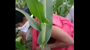 farm workers sex porn videos